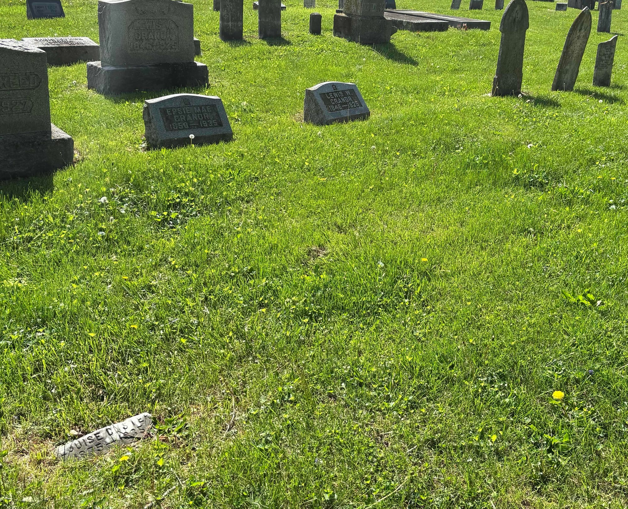Grass with several grave markers nearby